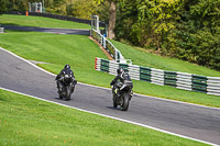 Advanced Group Multicolour Bikes